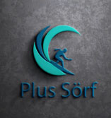 Logo design for Plus Soft