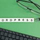 letters on green background spelling out the word WordPress